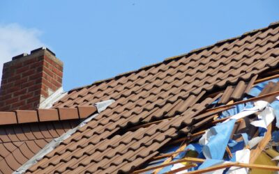 Roof Damage from Fallen Leaves: What You Need to Know