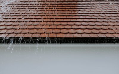 Tell-Tale Signs Your Home May Need a New Roof